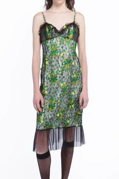 Anna Sui Rosebuds And  Lace Combo Dress In Multi