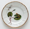 Anna Weatherley Frog On Lily Pad Salad Plate In Multi