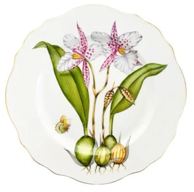 Anna Weatherley Orchid #2 Porcelain Dinner Plate In Multi