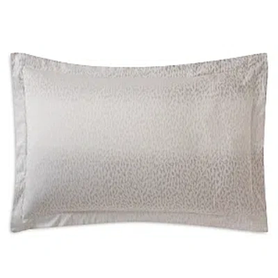 Anne De Solene Caractere Standard Sham In Beige
