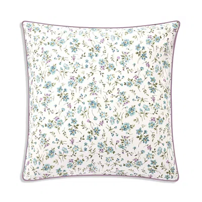 Anne De Solene Fugace Sham, Euro In Multi
