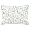 Anne De Solene Fugace Sham, Standard In Multi