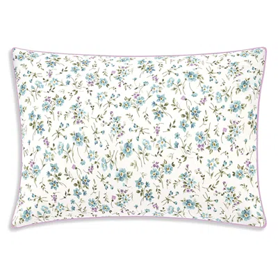 Anne De Solene Fugace Sham, Standard In Multi