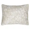 Anne De Solene Rosee Beige Boudoir Sham In Beige