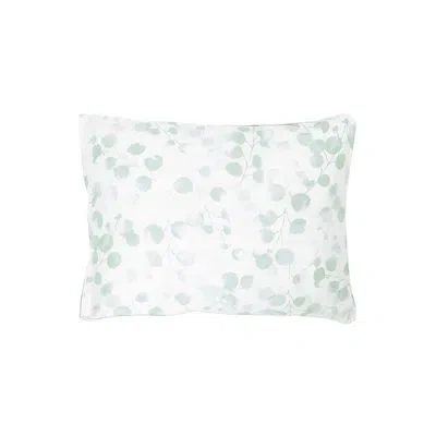 Anne De Solene Rosée Sauge Euro Sham In Green; White,rosée Sauge