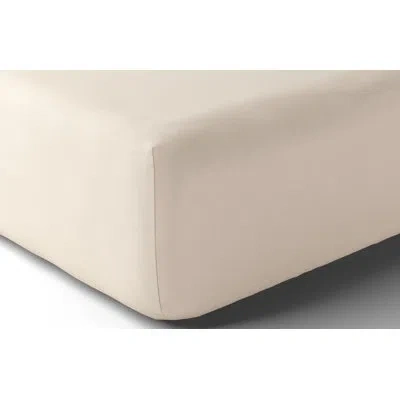 Anne De Solene Vexin Encre 200 Thread Count 100% Cotton Percale Fitted Sheet In Coco