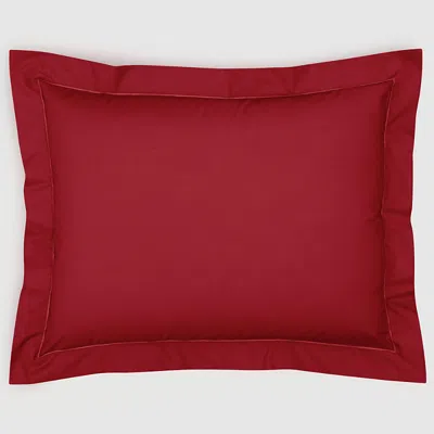 ANNE DE SOLENE ANNE DE SOLENE VEXIN KING SHAM,741000007USA0229095