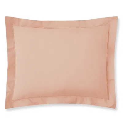 ANNE DE SOLENE ANNE DE SOLENE VEXIN STANDARD SHAM