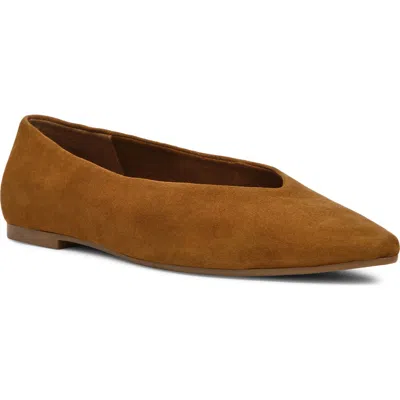 Anne Klein Dakota Skimmer Flat In Brown