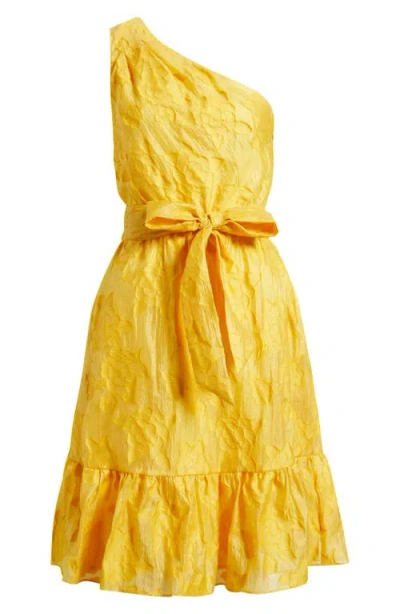 Anne Klein Floral Embroidered One-shoulder Midi Dress In Yellow