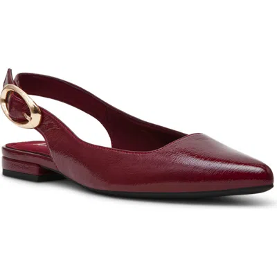 Anne Klein Kalil Faux Leather Slingback Pointed Toe Flat In Burgundy Crinkle Pu