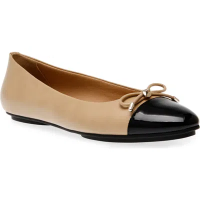 Anne Klein Luci Cap Toe Ballet Flat In Beige/black Smooth/patent