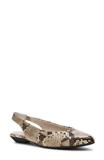 Anne Klein Oliff Slingback Flat In Animal Print