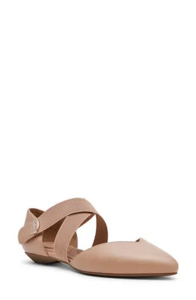 Anne Klein Oswaldo Pointed Toe Flat In Brown