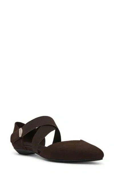 Anne Klein Oswaldo Pointed Toe Flat In Brown