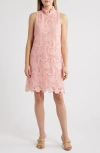 Anne Klein Ruffle Collar Lace Shift Dress In Blossom