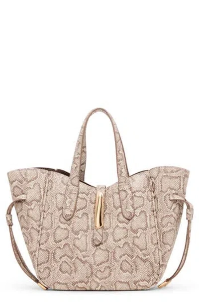 Anne Klein Small Tote In Brown