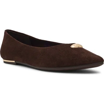 Anne Klein Yonder Pointed Toe Flat In Espresso