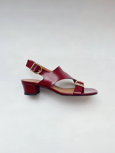 Anne Thomas Women's Kabuki Sandal In Bordeaux In Multi