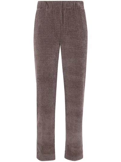 Anneclaire Polyamide Stretch Pants In Purple