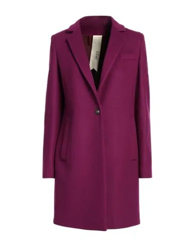 Annie P . Woman Coat Mauve Size 8 Virgin Wool, Polyamide, Cashmere In Purple