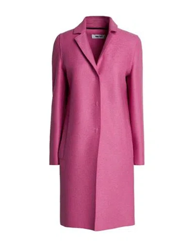 Annie Paris Woman Coat Magenta Size 4 Virgin Wool In Pink