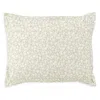 Annie Selke Aria Floral Sage Standard Sham In Sage