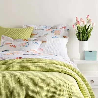 Annie Selke Bubble Citrus Matelasse Coverlet - Queen In Orange