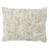 Annie Selke Macie Botanical Standard Sham In Blue/green