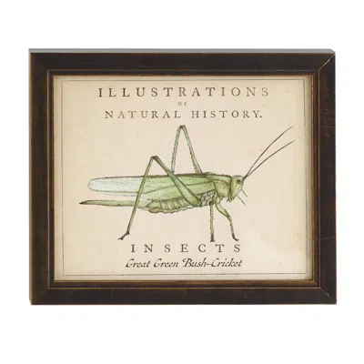 Annie Selke Vintage Grasshopper Wall Art