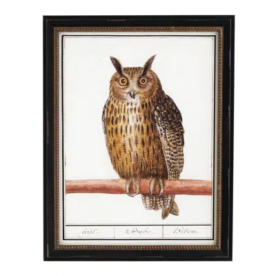 Annie Selke Vintage Owl Wall Art