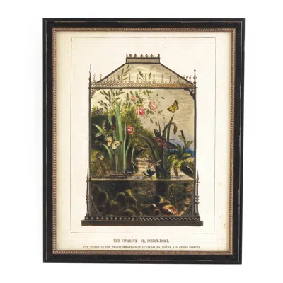 Annie Selke Vintage Vivarium Wall Art