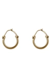 Annika Inez Sway Hoop Earrings
