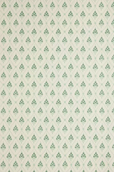 Annika Reed Studio Agra Wallpaper In Green