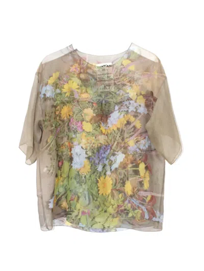 Anntian Chiffon Top In Multi
