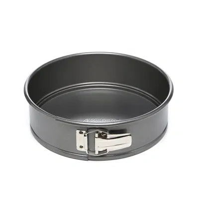 Anolon Advanced Bakeware Nonstick Round Springform Pan, 9 Inch, Gray