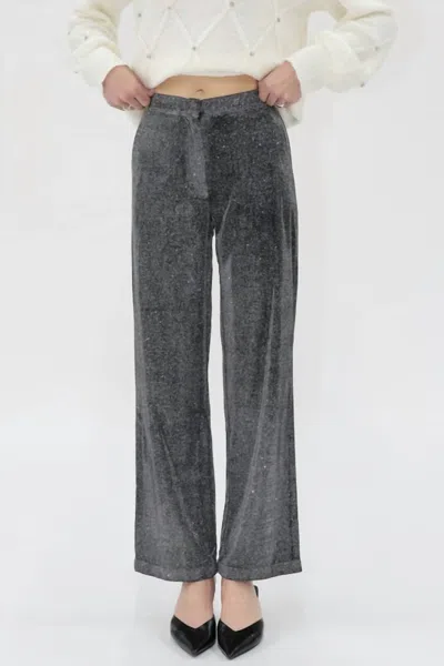 Another Love Bishop Pants In Disco In Gray