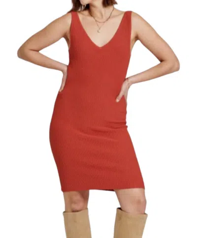 Another Love Nalani Mini Dress In Brick In Red