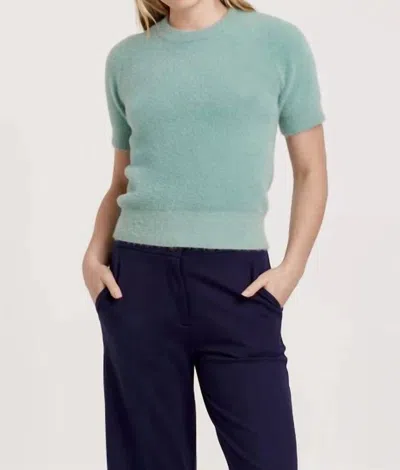 Another Love Suzie Fuzzy Short Sleeve Sweater Top In Herbal Blue In Green