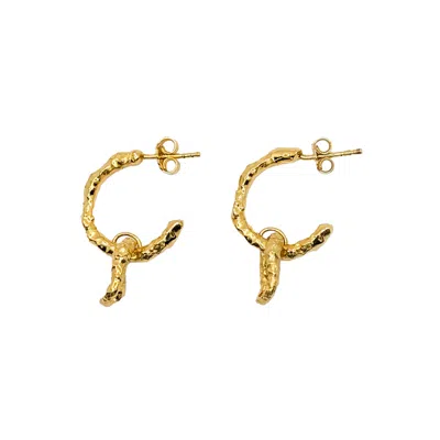 Another Mother Women's Sandy Gold Textured Charm Hoop Earrings