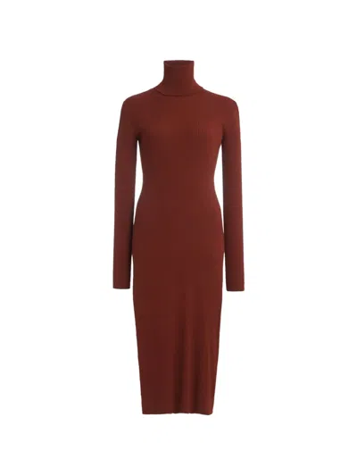 Another Tomorrow Ribbed-knit Turtleneck Dress In Brown