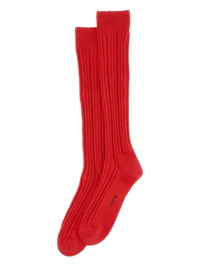 Ant45 Tino Ribbed Knee-high Socks In Multi