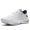 Anta C202 Lite 'white'