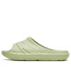 Anta C37 Slides 'green'