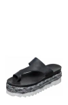 Antelope Women's Abra Platform Sandal In Black In Black