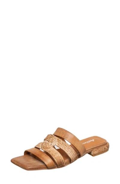 Antelope Adalyn Slide Sandal In Taupe Leather