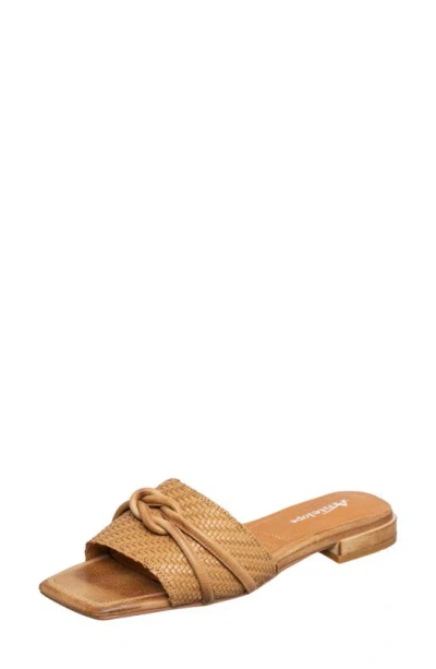 Antelope Adanna Slide Sandal In Taupe Leather