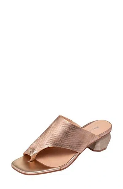 Antelope Afton Toe Loop Leather Dress Sandal In Gold