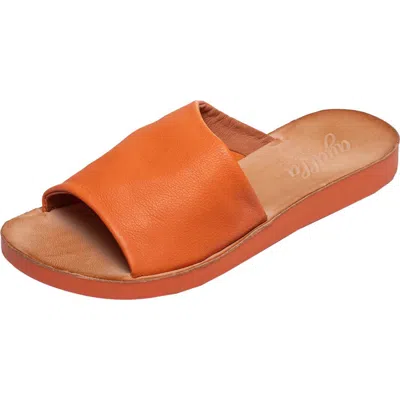 Antelope Ami Leather Slide Sandal In Orange