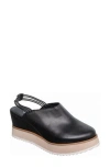Antelope Isla Clog In Black
